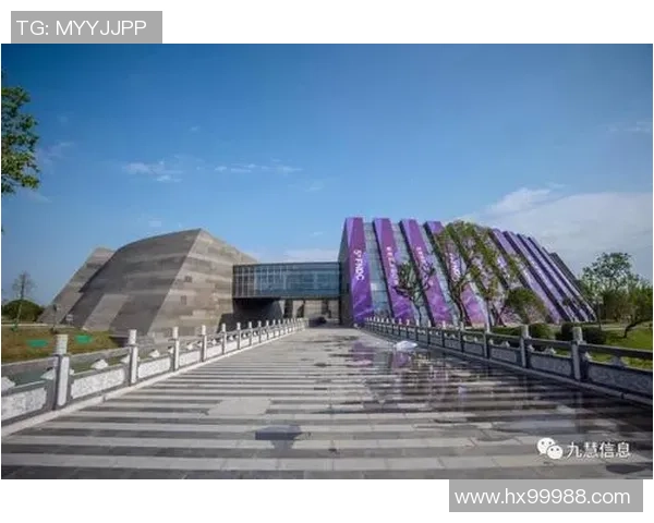 南京乒乓球队转型升级之路解析与未来发展展望