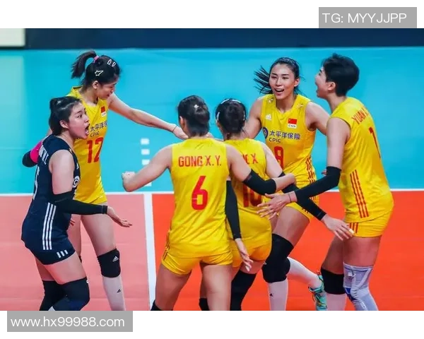 杭州排球队实力强劲荣登全国排球力量排行榜第二名