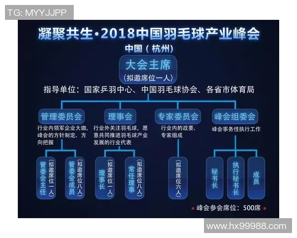 杭州羽毛球队个人能力深度对比解析与发展潜力探讨 杭州羽毛球队个人能力深度对比解析与发展潜力探讨