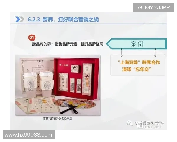 武汉排球队运营策略深度分析与发展前景探讨 武汉排球队运营策略深度分析与发展前景探讨