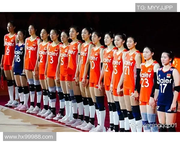 成都排球队实力强劲荣登全国排球力量排行榜第九位