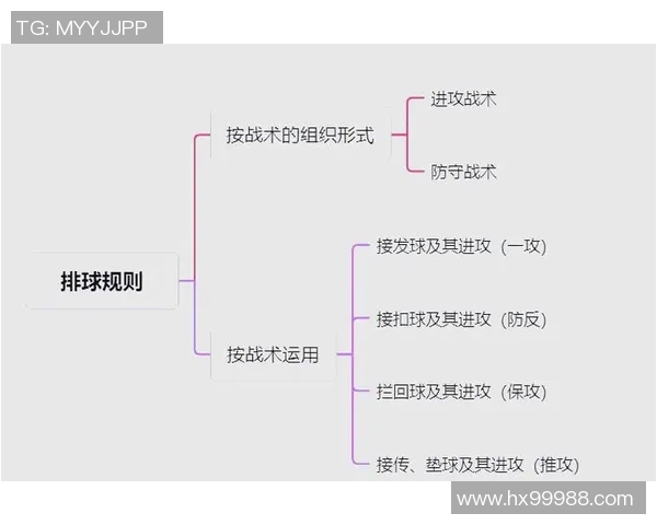 深圳排球队中路突破分析与战术反思探讨