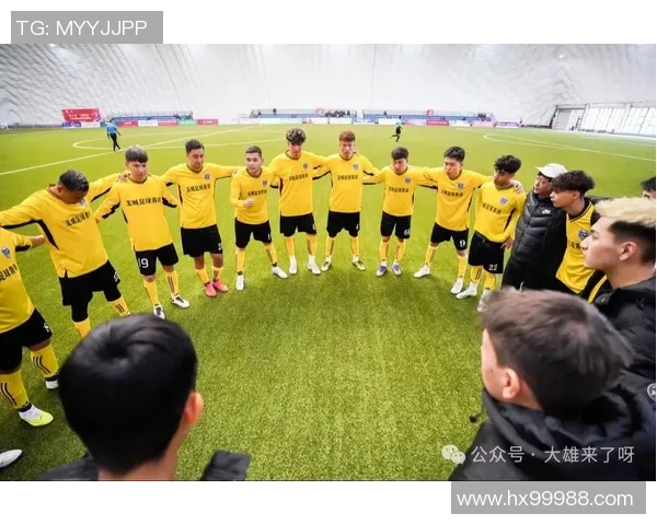 多个足球明星同屏竞技展现球场魅力与团队精神的精彩瞬间