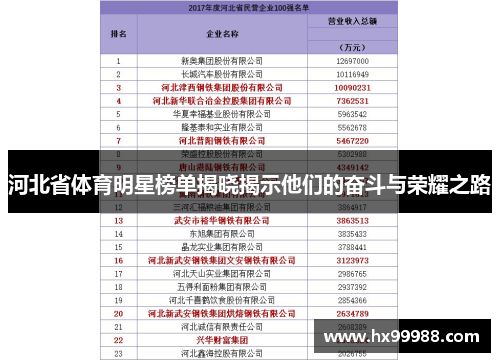 河北省体育明星榜单揭晓揭示他们的奋斗与荣耀之路