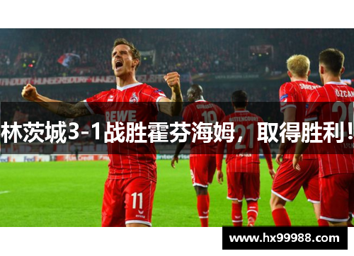 林茨城3-1战胜霍芬海姆，取得胜利！